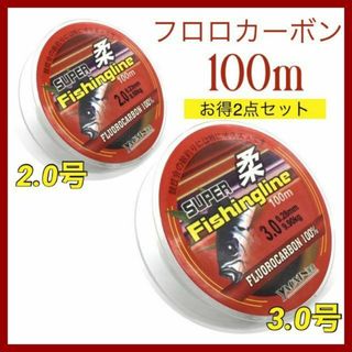 (L61)　フロロカーボン 2.0号・3.0号 セット・100m巻き