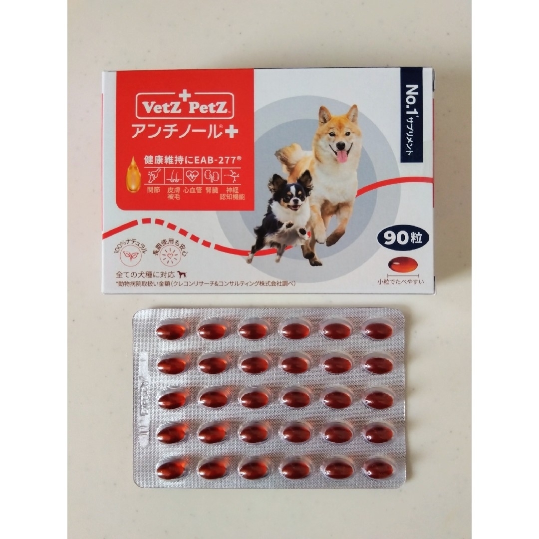アンチノール プラス 30粒分 + サプリメント その他のペット用品(犬)の商品写真