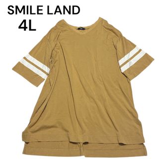 4L 3XLスマイルランド カットソーワンピース　バックプリント　袖ライン(ひざ丈ワンピース)