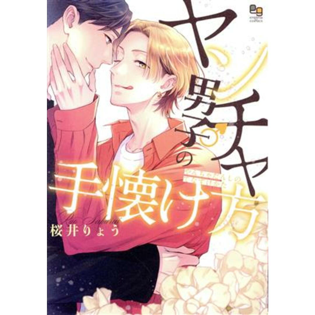 ヤンチャ男子の手懐け方 enigma C/桜井りょう(著者) エンタメ/ホビーの漫画(ボーイズラブ(BL))の商品写真