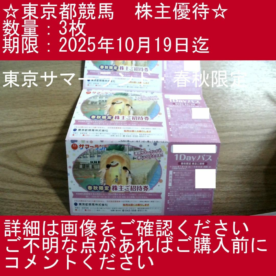 【3枚・東京サマーランド・春秋限定】東京都競馬 株主優待券 チケットの施設利用券(プール)の商品写真