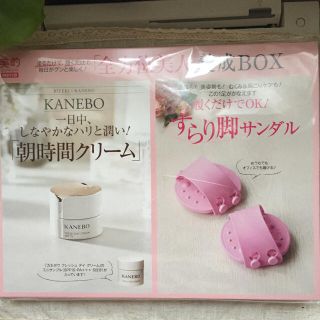 カネボウ(Kanebo)の美的 5月号 付録(その他)