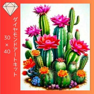 ダイヤモンドアート　キット　サボテンと花①　ラウンド　３０×４０ E-DA18(その他)