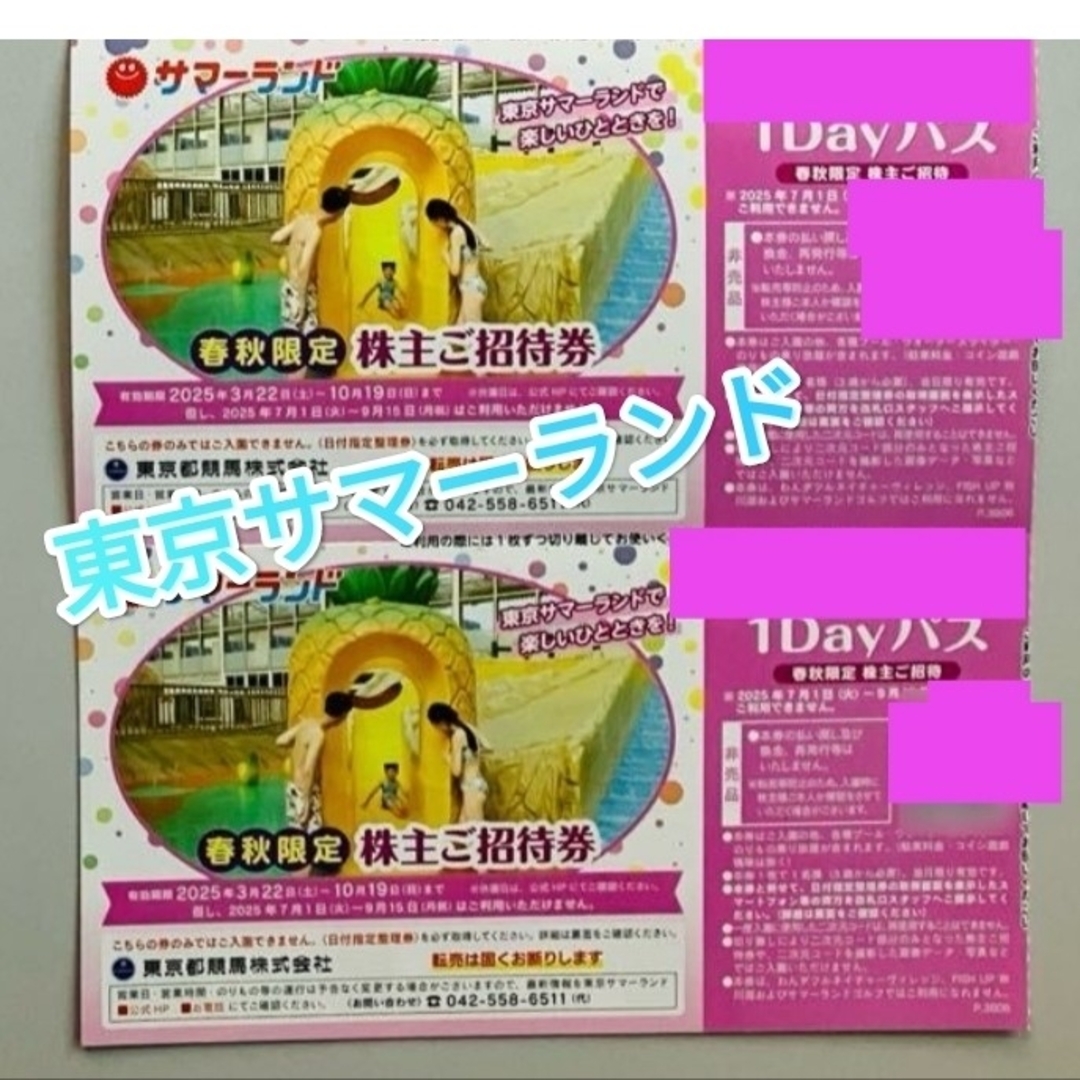 東京サマーランド 1Dayパス 春秋限定株主ご招待券 2枚 チケットの施設利用券(プール)の商品写真
