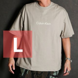 Calvin Klein - Calvin Klein Tシャツ 半袖 グレー ロゴ カルバンクライン