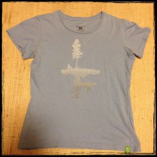 パタゴニア(patagonia)のパタゴニア⭐オーガニックコットンTシャツ(Tシャツ(半袖/袖なし))