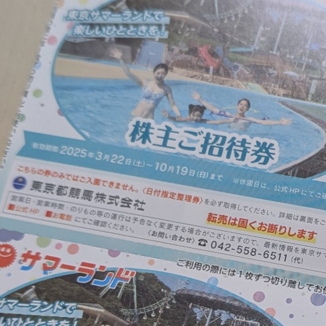 ひろさま サマーランド6枚 チケットの施設利用券(遊園地/テーマパーク)の商品写真