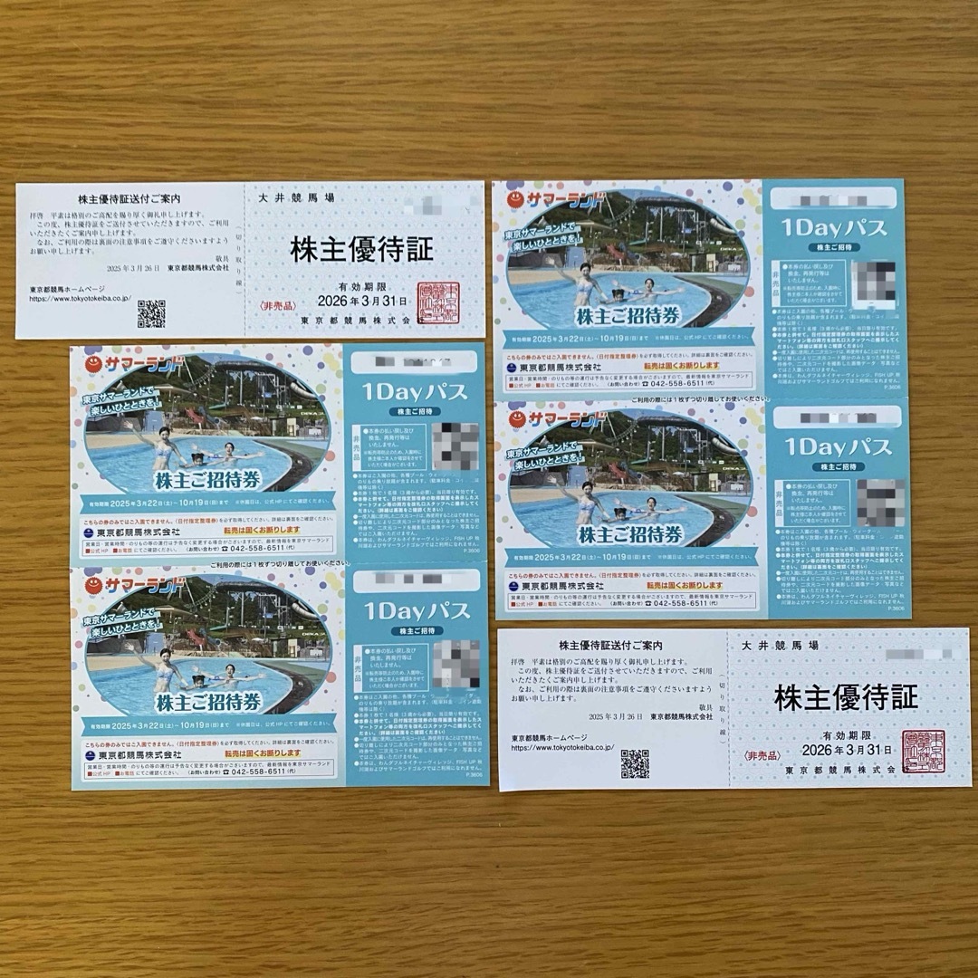 東京競馬場 株主優待 東京サマーランド 1Dayパス4枚 チケットの施設利用券(遊園地/テーマパーク)の商品写真