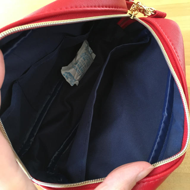 AHKAH(アーカー)の【期間限定 値下げ】AHKAH 付録 ジュエルポシェット レディースのバッグ(ショルダーバッグ)の商品写真