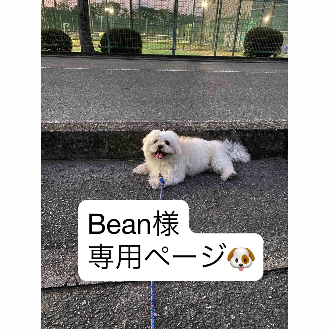 ワンちゃん用 ササミジャーキー その他のペット用品(ペットフード)の商品写真