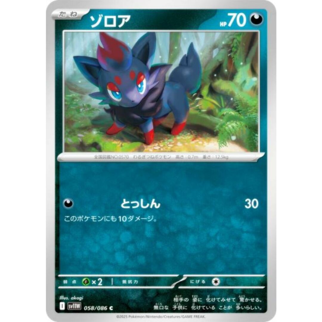 ポケモンカードゲーム SV11W 058/086 ゾロア 悪 (C コモン) 拡張パック ホワイトフレア エンタメ/ホビーのトレーディングカード(シングルカード)の商品写真