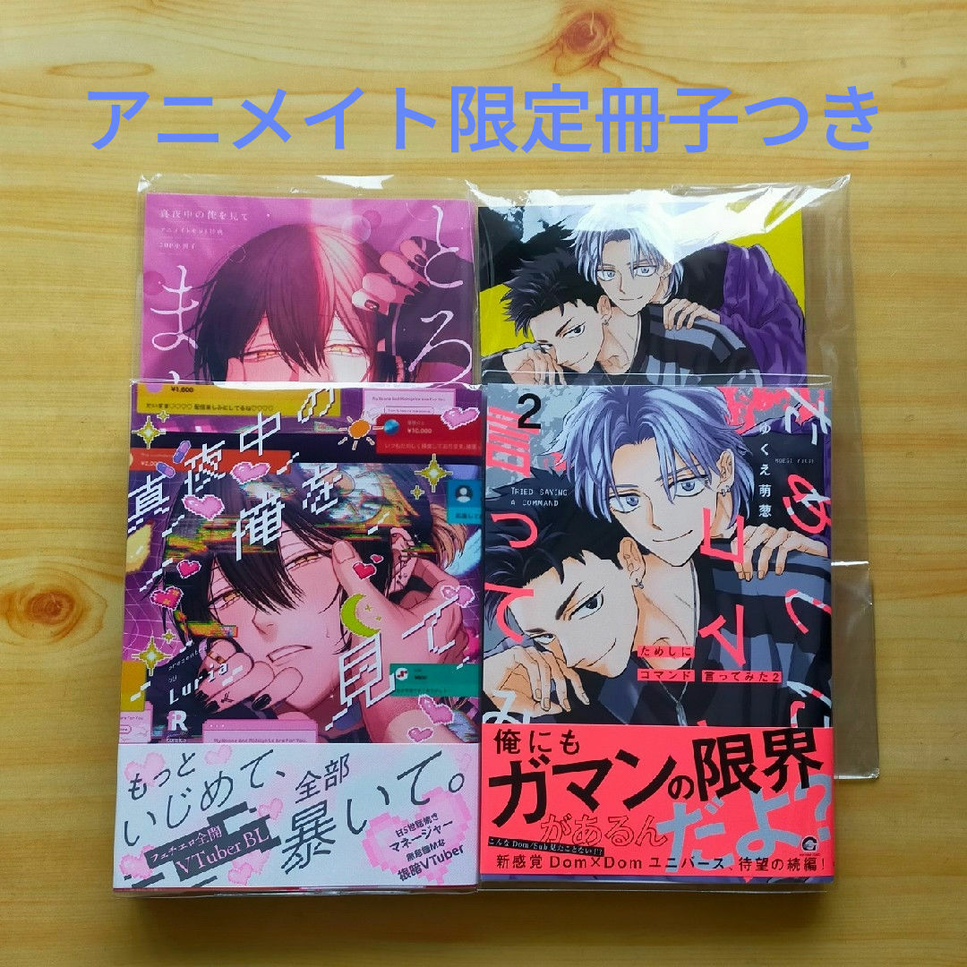真夜中の俺を見て ためしにコマンド言ってみた2 エンタメ/ホビーの漫画(ボーイズラブ(BL))の商品写真