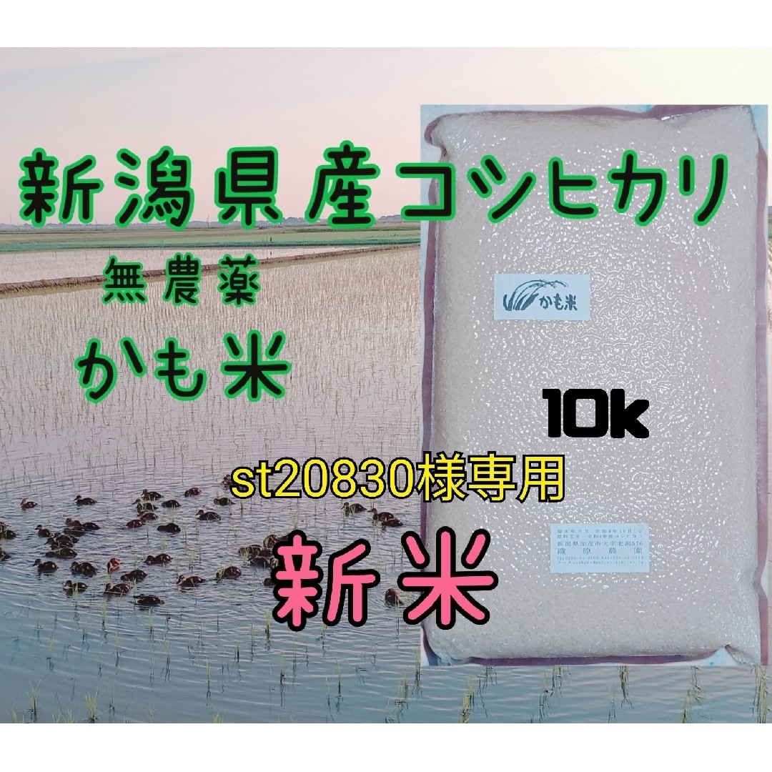 無農薬米新潟県産コシヒカリ10k 食品/飲料/酒の食品(米/穀物)の商品写真
