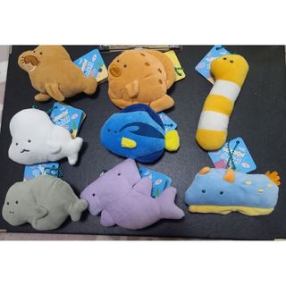 つぶらな瞳の水族館 まとめ売り 8種(キャラクターグッズ)