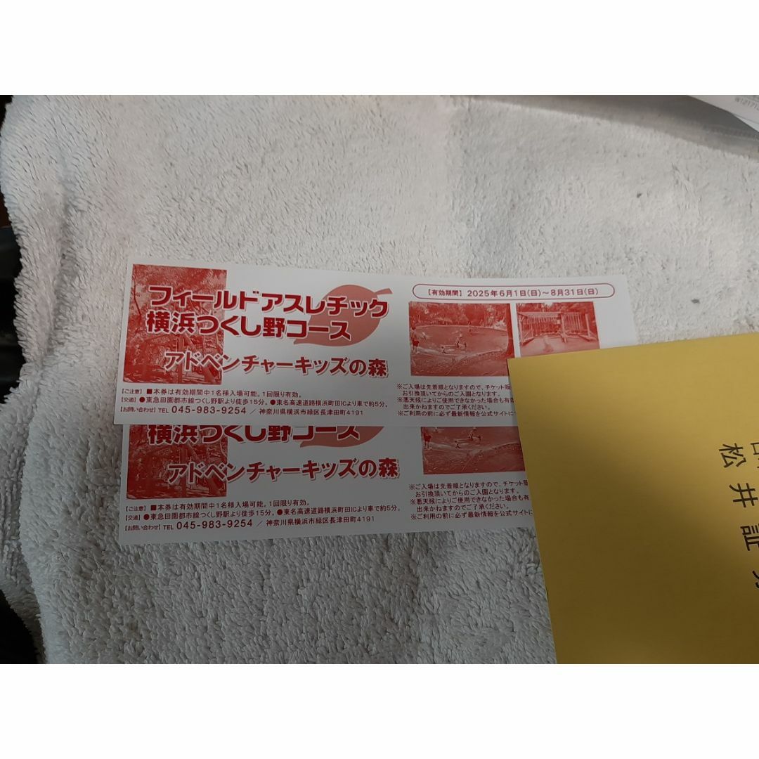 フィールドアスレチック 横浜つくし野コース 招待券 2枚 チケットの施設利用券(遊園地/テーマパーク)の商品写真