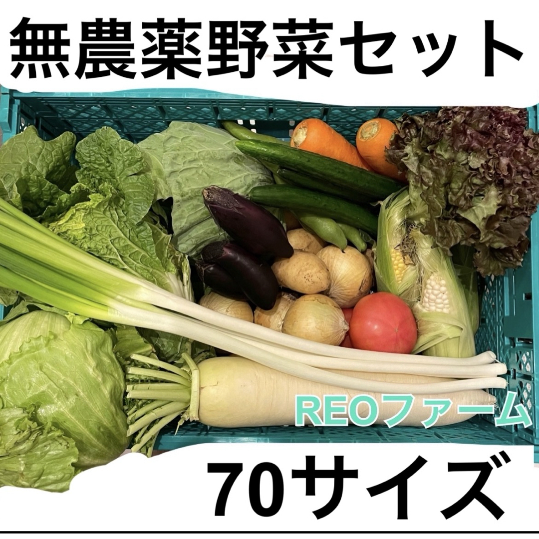 愛知県産 野菜 詰め合わせ セット 70サイズ REOファーム 食品/飲料/酒の食品(野菜)の商品写真