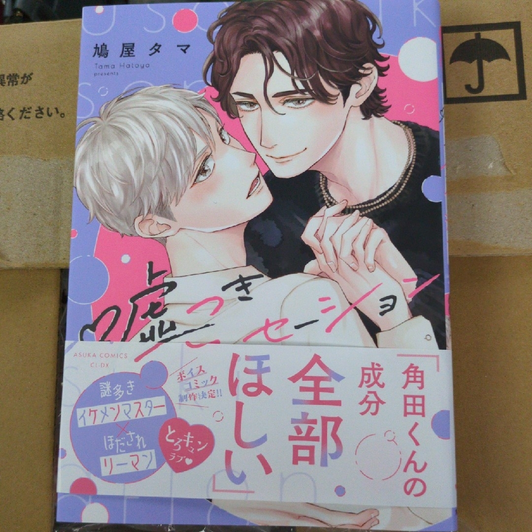 角川書店(カドカワショテン)の嘘つきセンセーション エンタメ/ホビーの漫画(ボーイズラブ(BL))の商品写真