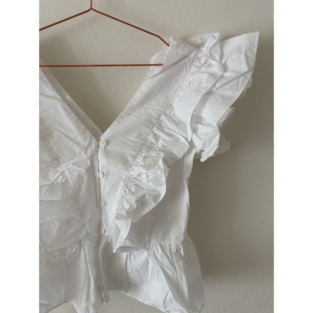 SHEER シャツブラウス レディースのトップス(シャツ/ブラウス(半袖/袖なし))の商品写真