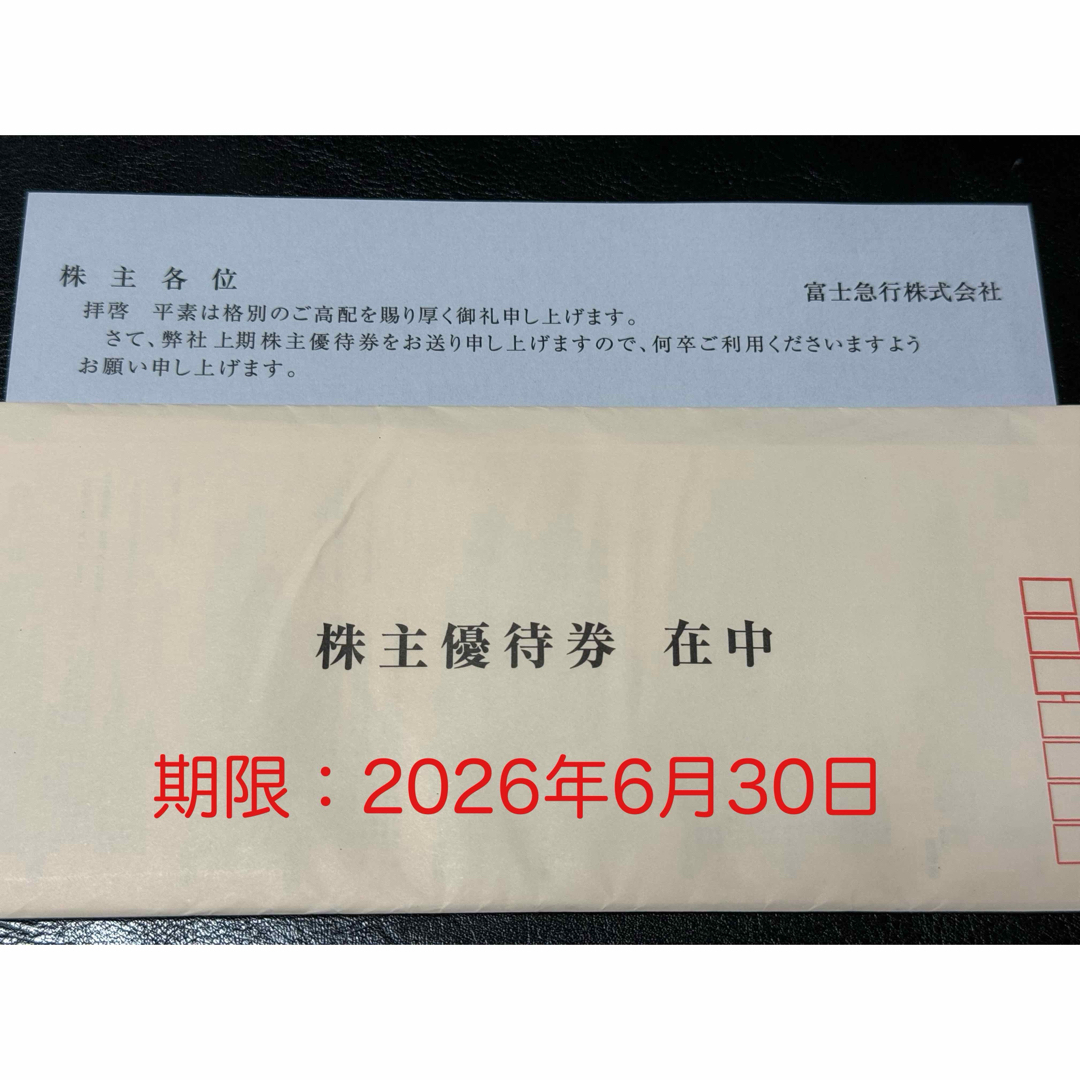 富士急行 株主優待 チケットの施設利用券(遊園地/テーマパーク)の商品写真