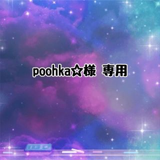 スヌーピー(SNOOPY)の◆ poohka☆様 専用 ◆ ウッドストック&スヌーピーヘアゴム(その他)