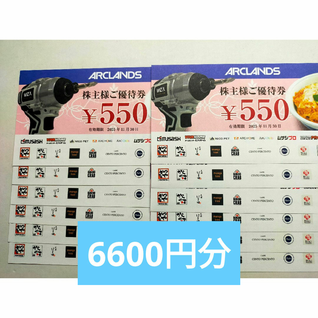 アークランズ 株主優待券 12枚 チケットの優待券/割引券(レストラン/食事券)の商品写真