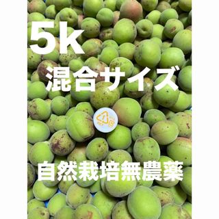 訳あり新鮮 青梅 約5kg 静岡県産　自然栽培(フルーツ)