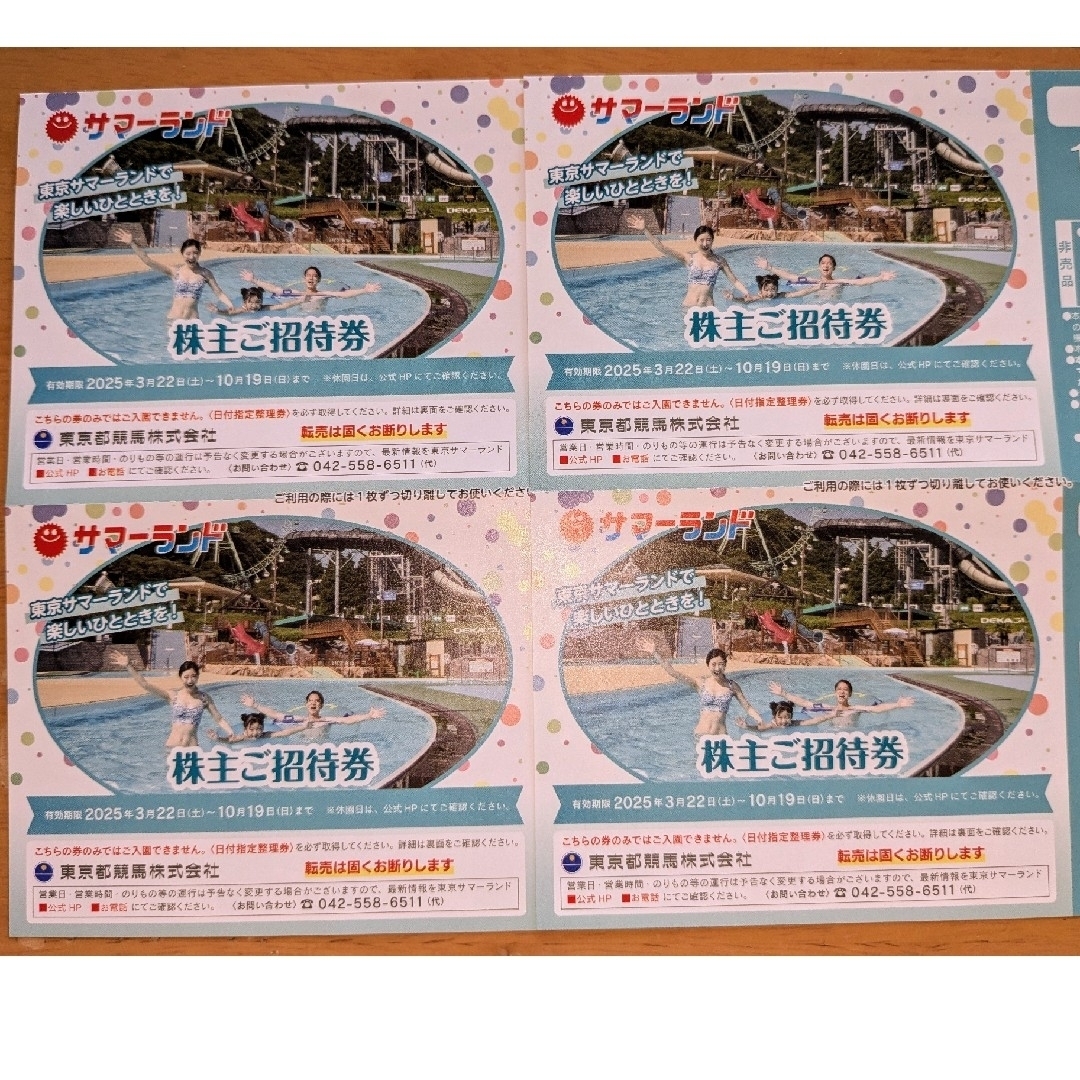東京サマーランド 株主ご招待券4枚 株主優待 チケットの施設利用券(遊園地/テーマパーク)の商品写真