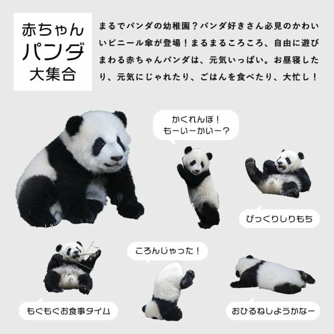 Wpc. 雨傘 [ビニール傘] ころころパンダアンブレラ チャコール 長傘 60 レディースのファッション小物(その他)の商品写真