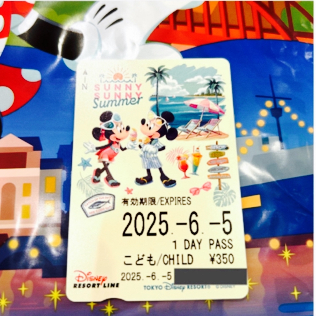 ディズニー リゾートライン フリーきっぷ サニーサニーサマー エンタメ/ホビーのおもちゃ/ぬいぐるみ(キャラクターグッズ)の商品写真