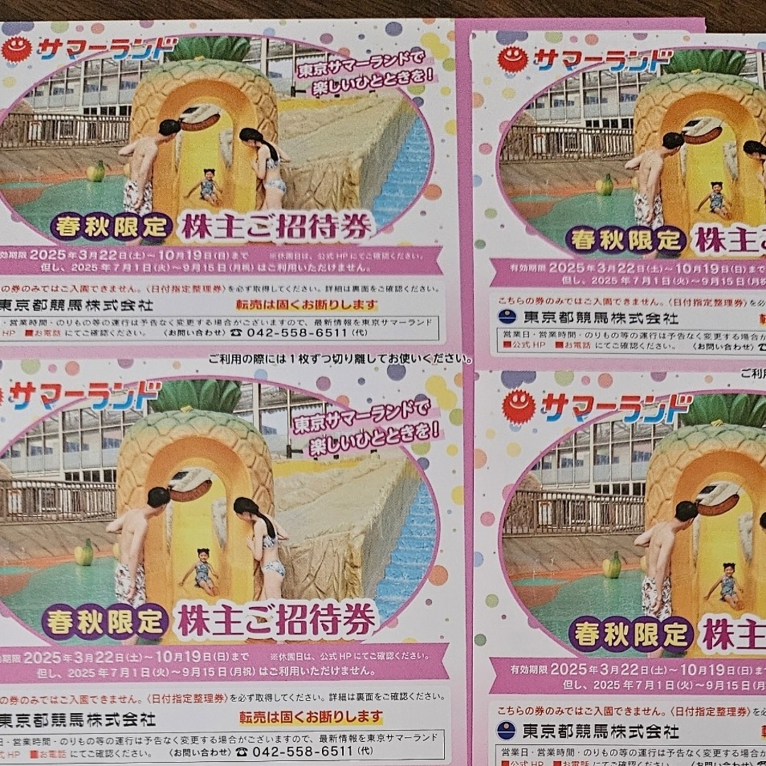 東京サマーランド 春秋限定株主ご招待券1Dayパス 4枚 チケットの施設利用券(遊園地/テーマパーク)の商品写真