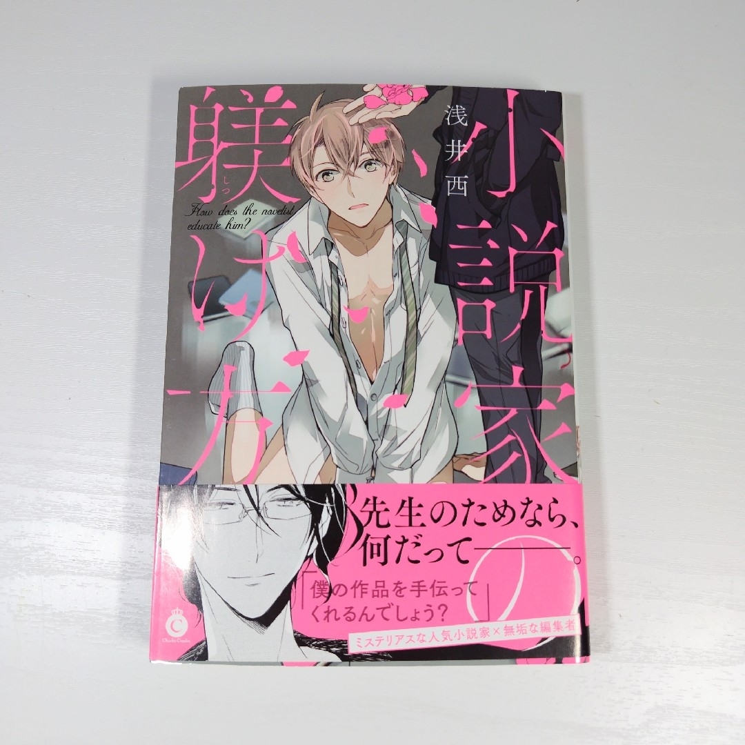商業BL 漫画「小説家の躾け方」 浅井西 漫画 ボーイズラブ エンタメ/ホビーの漫画(ボーイズラブ(BL))の商品写真