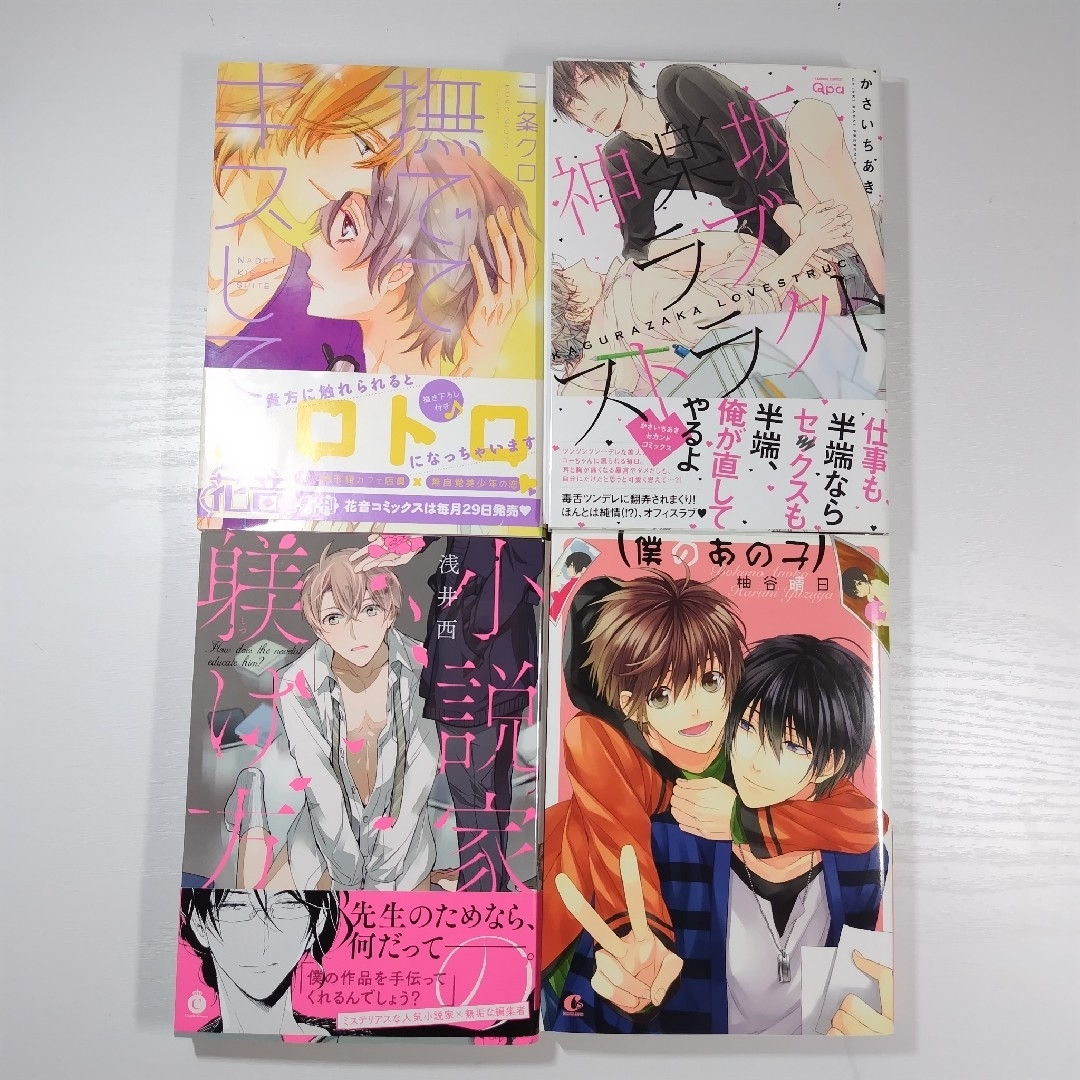 商業BL漫画 まとめ売り ボーイズラブ エンタメ/ホビーの漫画(ボーイズラブ(BL))の商品写真