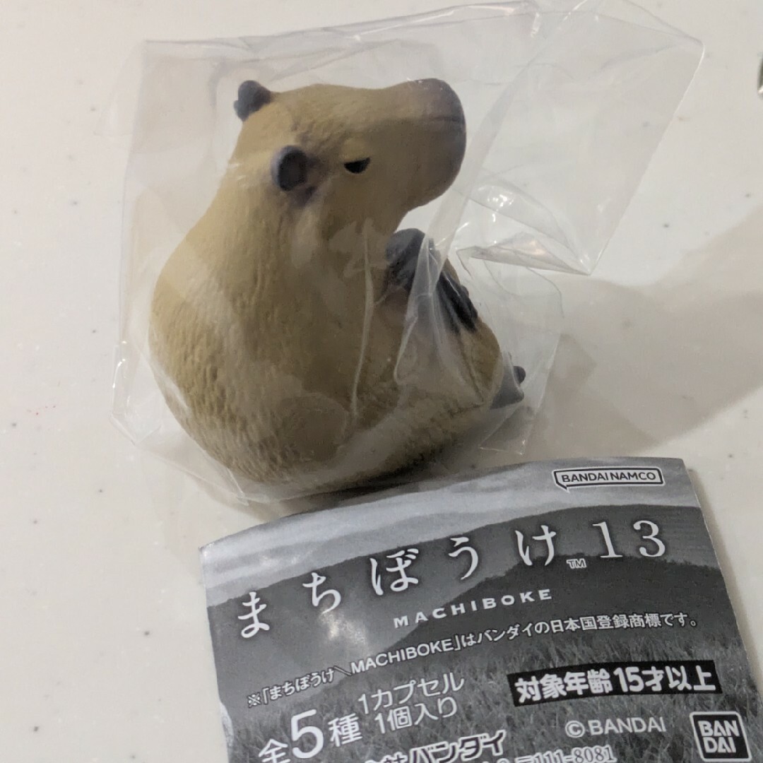 カピバラ まちぼうけ まちぼうけ13 エンタメ/ホビーのおもちゃ/ぬいぐるみ(キャラクターグッズ)の商品写真