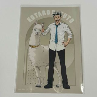 ハイキュー 東武動物公園 L版 ノベルティ 木兎虎太朗(キャラクターグッズ)