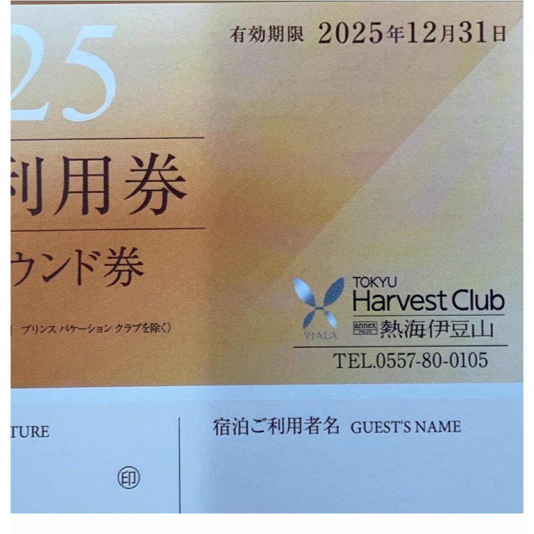 しーちゃん様専用 東急ハーヴェスト熱海伊豆山VIALA 2025年分 チケットの優待券/割引券(宿泊券)の商品写真