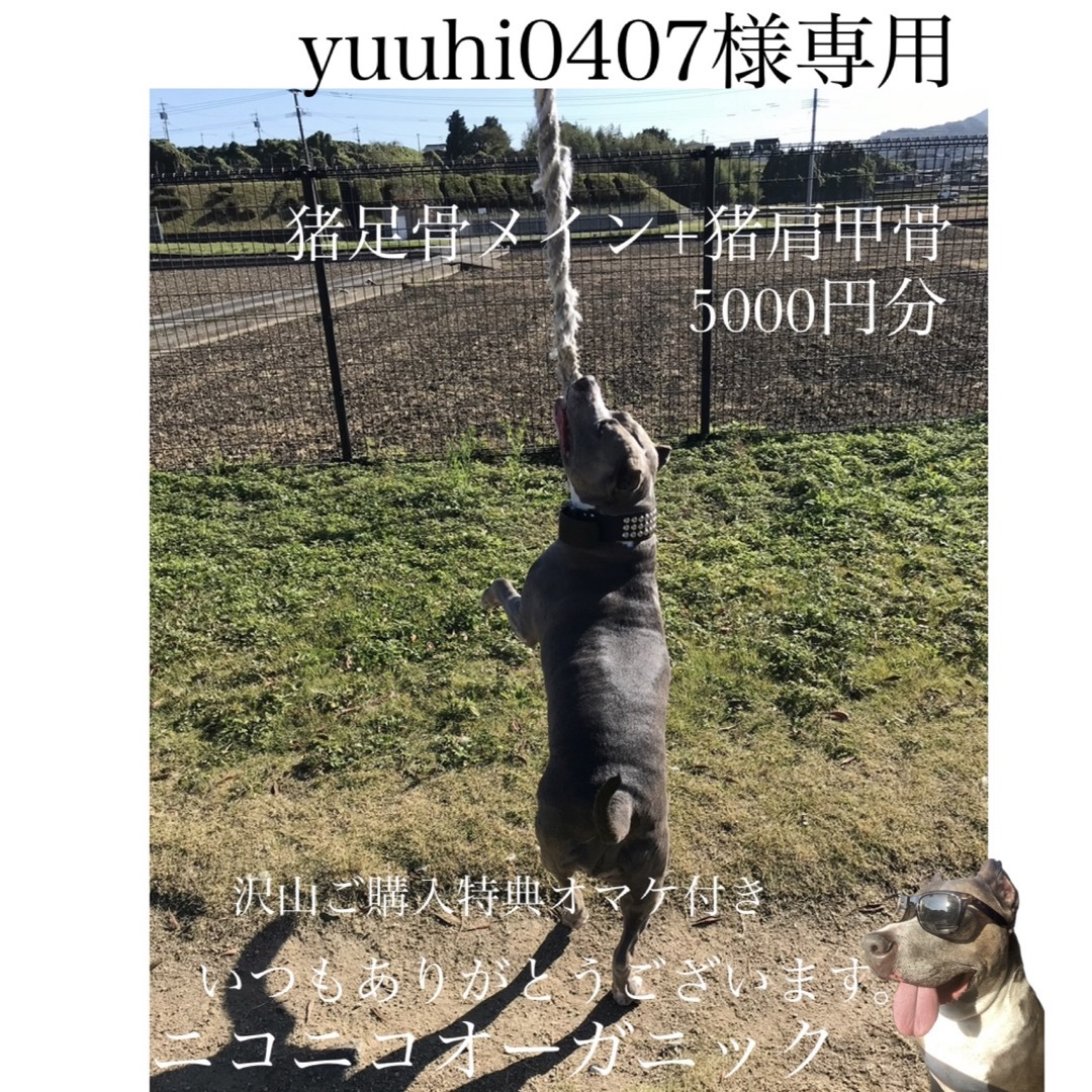 yuuhi0407様専用 その他のペット用品(犬)の商品写真