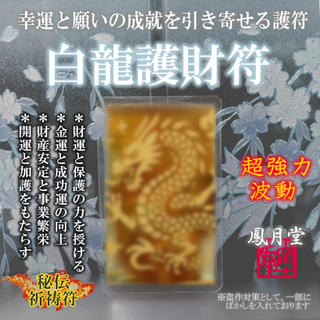 【白龍護財符】白龍の力 守護と財運 金運 事業発展 財産保護 開運祈願 お守り(その他)