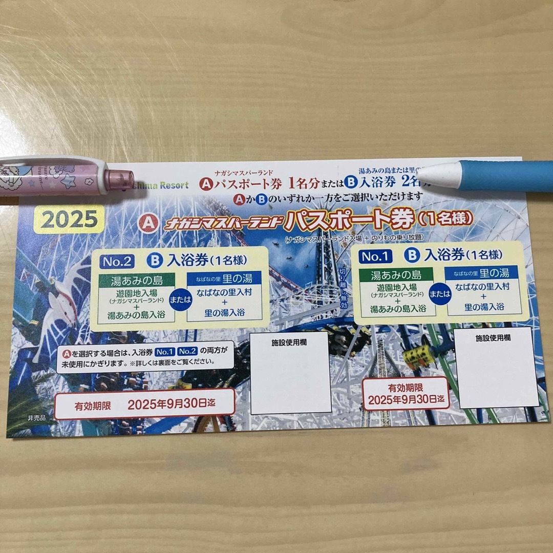ナガシマスパーランドパスポート 1枚 チケットの施設利用券(遊園地/テーマパーク)の商品写真