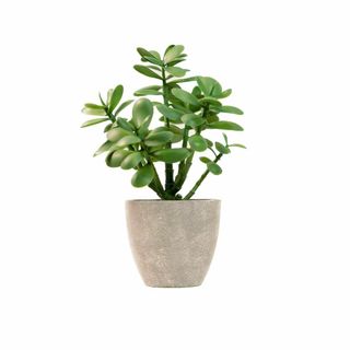 【特価セール】365 Blooming Decor 31CM人工多肉植物 フェイ(その他)