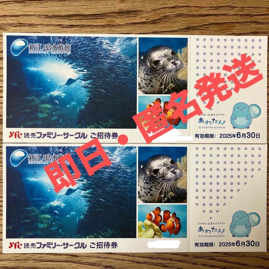 新江ノ島水族館 ご招待券×2枚 チケットの施設利用券(水族館)の商品写真