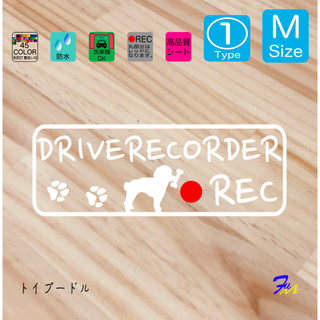 トイプードル ドラレコステッカー 01 Mサイズ(車外アクセサリ)