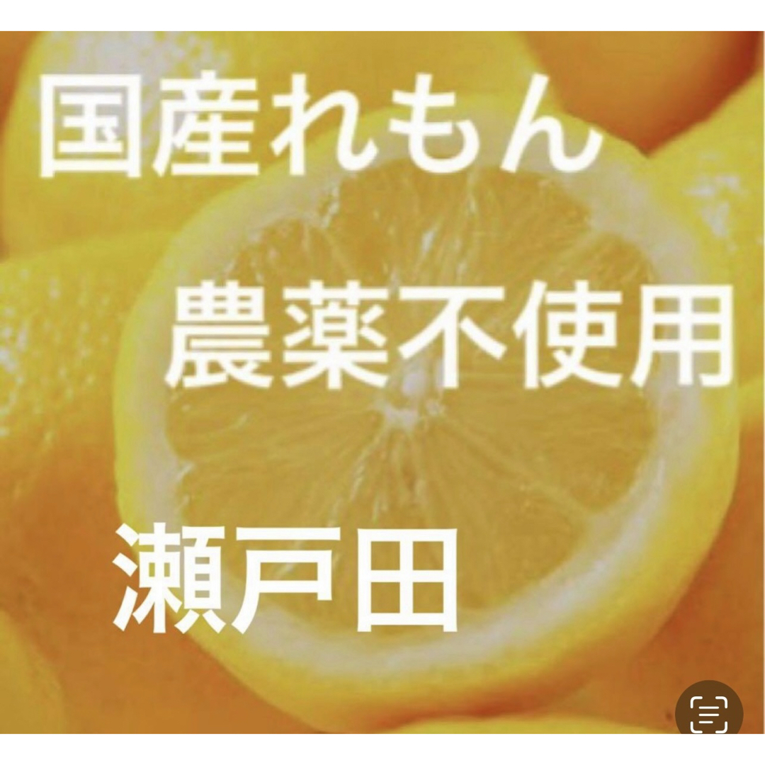 国産レモン 食品/飲料/酒の食品(フルーツ)の商品写真