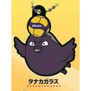 【タナカガラス】ハイキュー!!×MIKASA キャララバーコレクション2(その他)