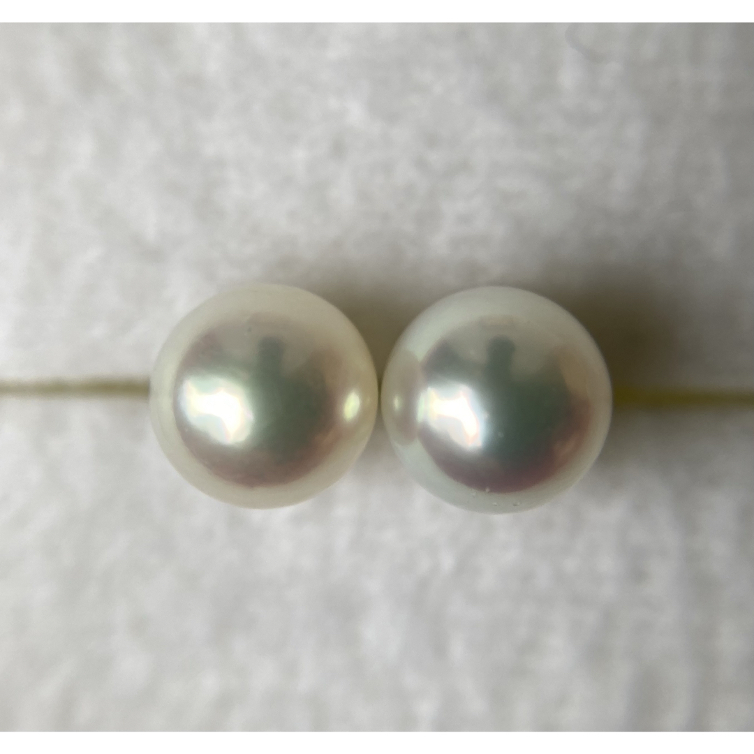 【あす楽対応】 MIKIMOTO - ミキモト 6mm珠 プチパール 真珠 両耳 ホワイト アクセサリー