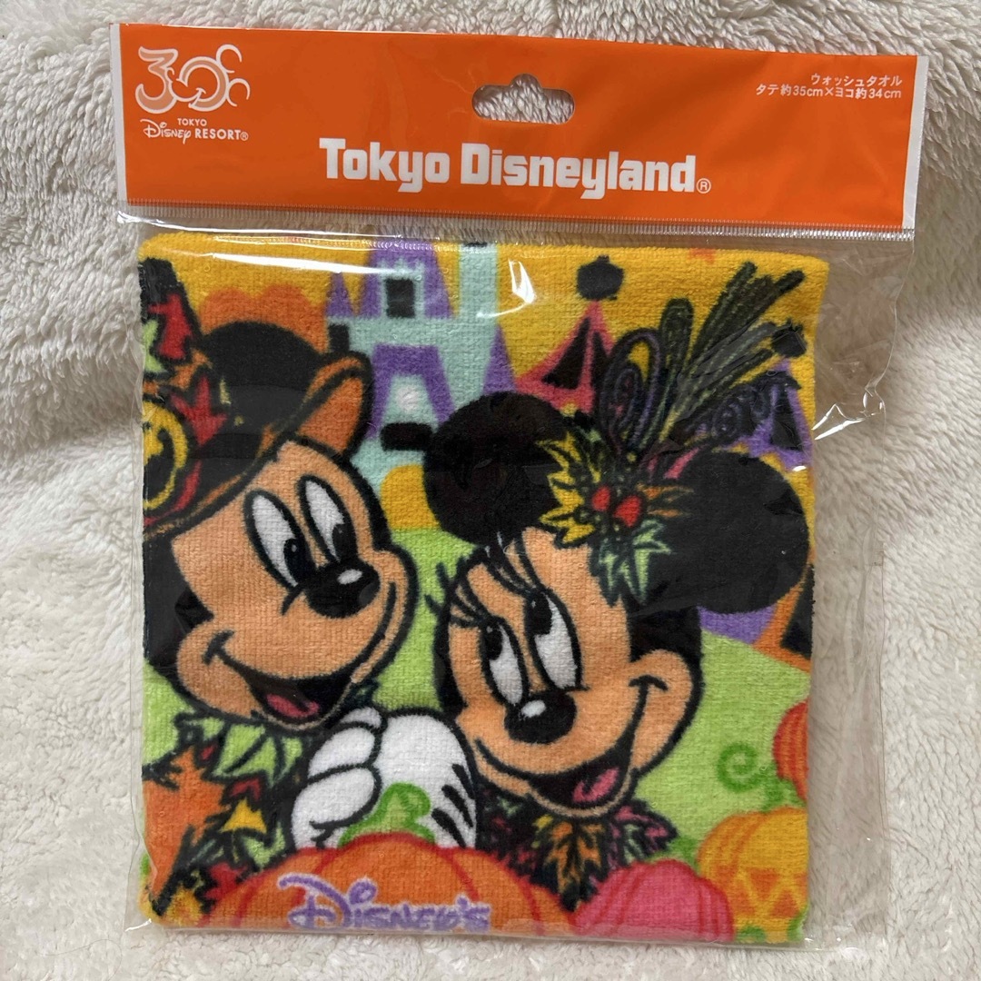 Disney(ディズニー)のディズニーランド30周年 ウォッシュタオル エンタメ/ホビーのおもちゃ/ぬいぐるみ(キャラクターグッズ)の商品写真