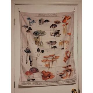 【新品】きのこのタペストリー(置物)
