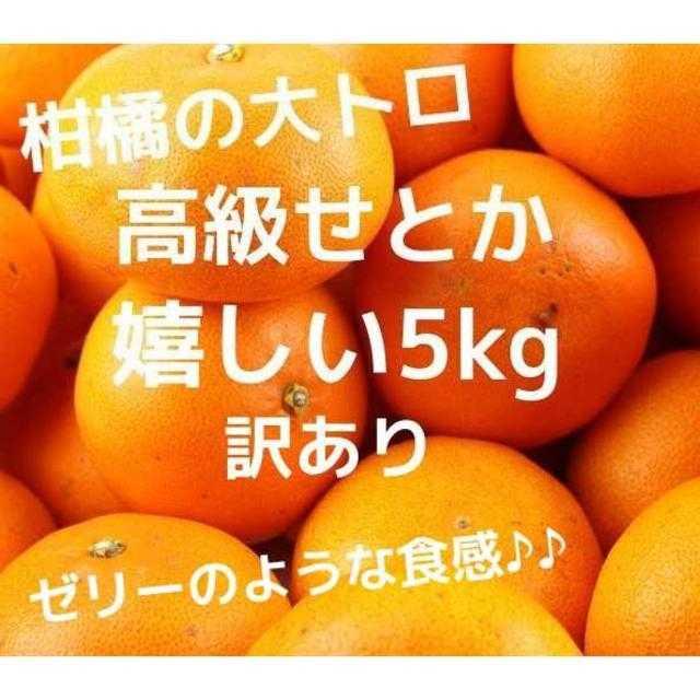 数量限定☆せとか 柑橘 みかん 高級 5kg 訳あり 食品/飲料/酒の食品(フルーツ)の商品写真