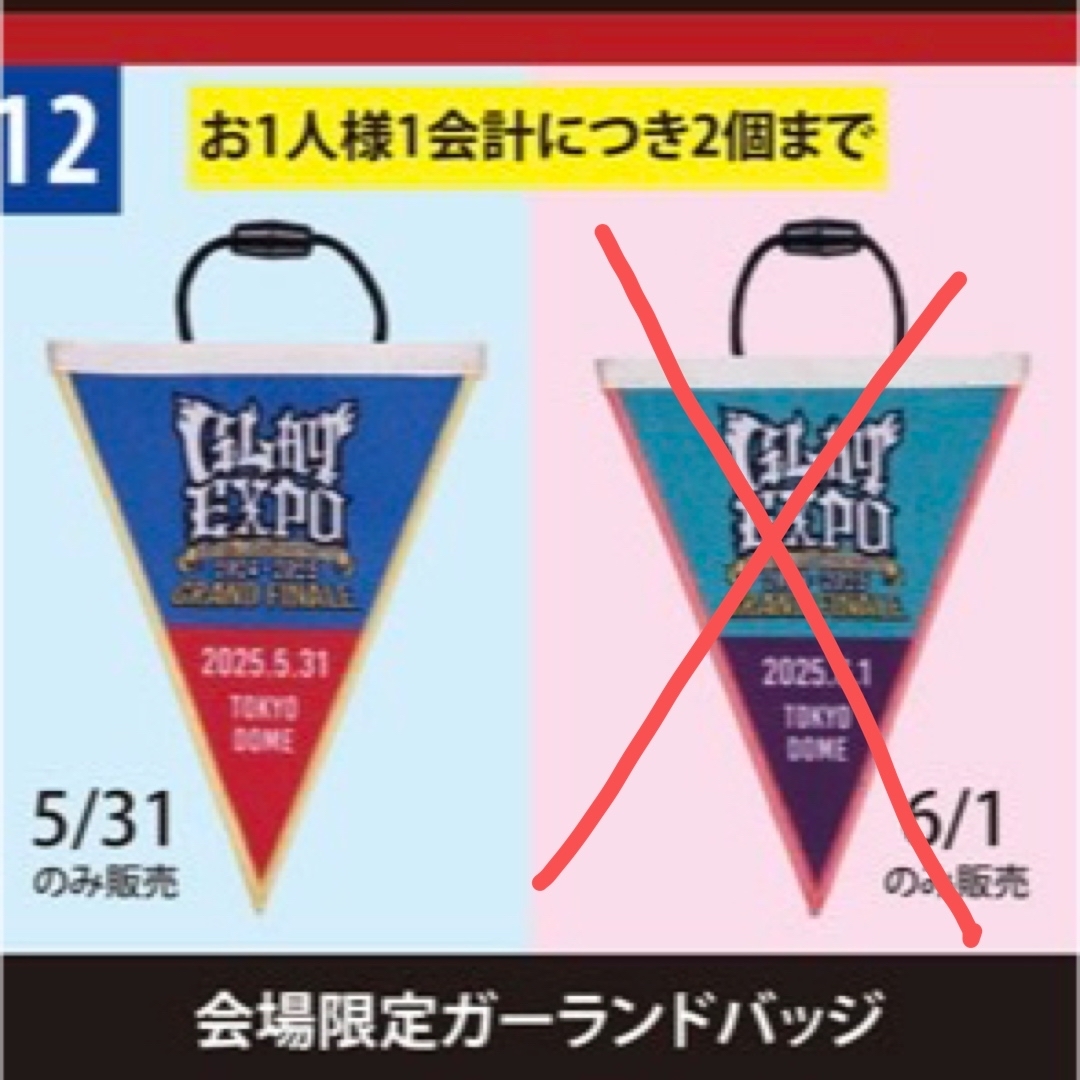 【期間限定】 ☆GLAY☆会場限定ガーランド☆5/31☆東京ドーム☆の通販 by ミュージシャン