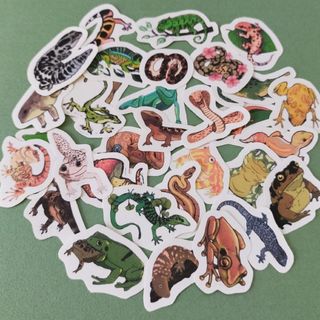 一部地域送料無料★10匹セット 冷凍ファジー　約5.5cm　爬虫類　冷凍えさ 専用☆10匹セット 冷凍ファジー 約5.5cm マウス 爬虫類 冷凍えさ