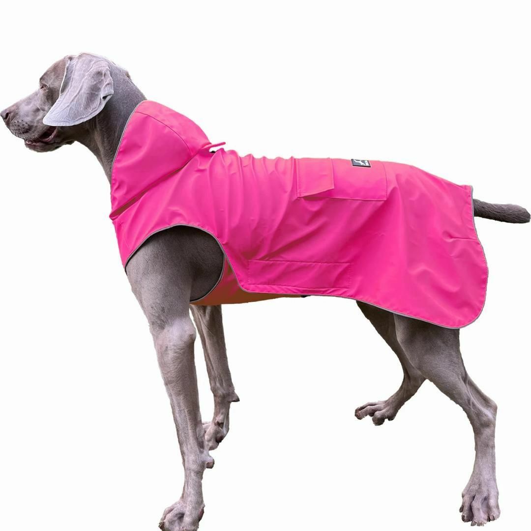 犬用レインコート Ｓ イエロー リードホール　反射　ポケット付　メッシュ その他のペット用品(犬)の商品写真